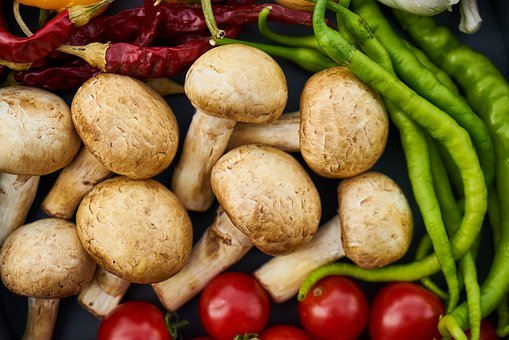 培训班招生宣传短信群发怎么做?