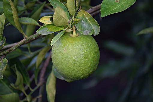 惠安启用供水智能短信平台 停水前可直接告知