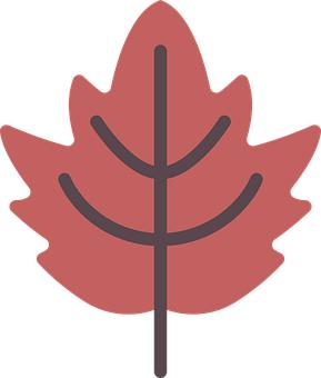 ��Ц����ʮ��