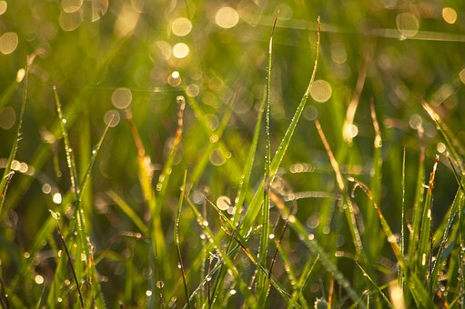 �����в���Ⱥ����ҵר��