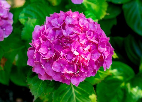 ����Ҳ�������� ����������һ������;���