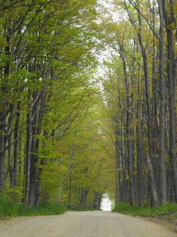 ����ƵAPP������ö���Ӫ��