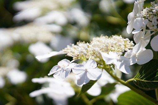 ����ƽ̨��Ϊ���칫˾�ڷɵ�����