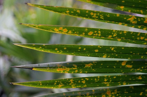 �����в���Ⱥ��ƽ̨���Է���Ƶ��