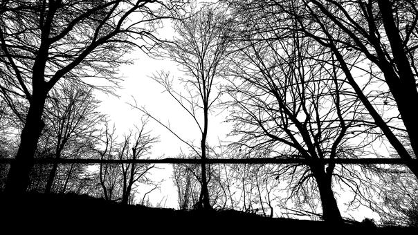 �̿������㷢����׷Ů��