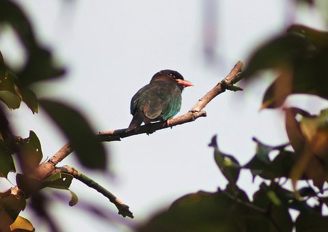 2019���˽ڶ���