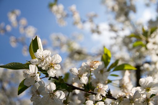 积分清零全流程指南:企业管理的必修课与用户权益保护手册