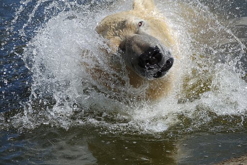 ��������ö���ƽ̨������ ��Գɹ��ʴ���