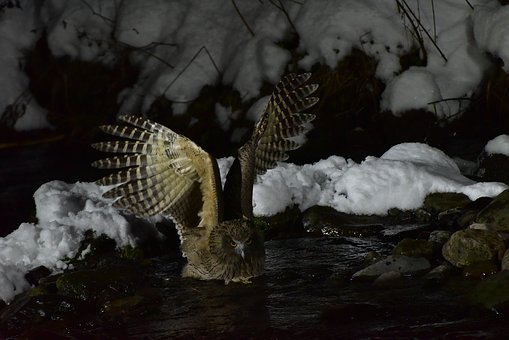 ����Ⱥ���Ĺ涨_��β���Ⱥ��