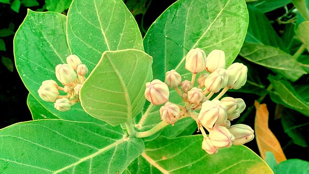 短信平台在石油化工行业的应用