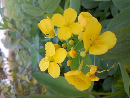 哪个短信平台最靠谱