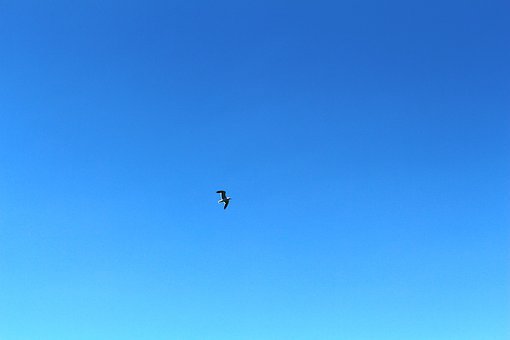 ҵ̼ʹöȺҪѭЩ׼