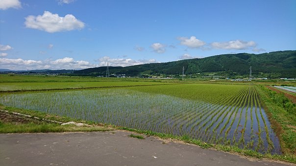 营销新宠—视频短信群发五大优势,推广效果比肩抖音!
