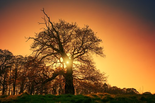 �ô���Ϊ���������Լ����û���˯���û���