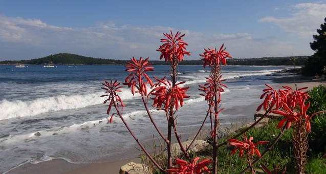 �����Ӫ��������������·���