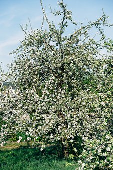 企业短信平台 只选对的不选贵的