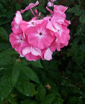 ������ö��������ʧ�ͻ�