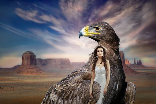 ��Ϳ����������ϢȺ��ƽ̨Ϊũ������¸���