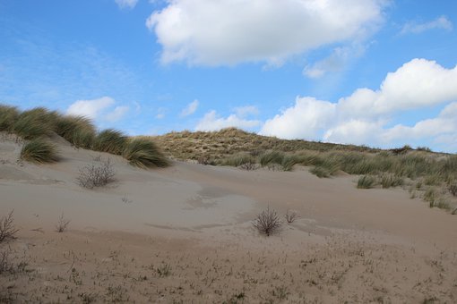 ��ҵ��չʷ���̻���ǰ  ����Ӫ���ں�