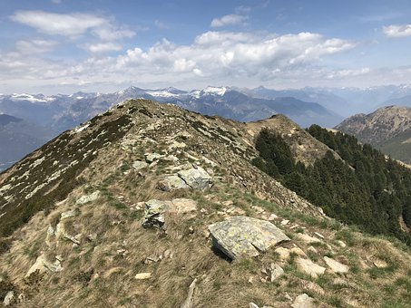 �ֻ����û�����Ч�ʸ�������ҵ���ŷ����ȫ����Ӧ�ý���