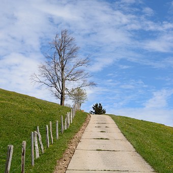 短信群发平台 将营销变轻松
