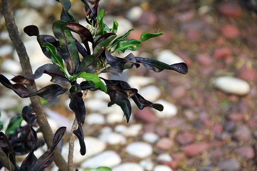 信誉好的短信平台,让商家轻松”获客”!